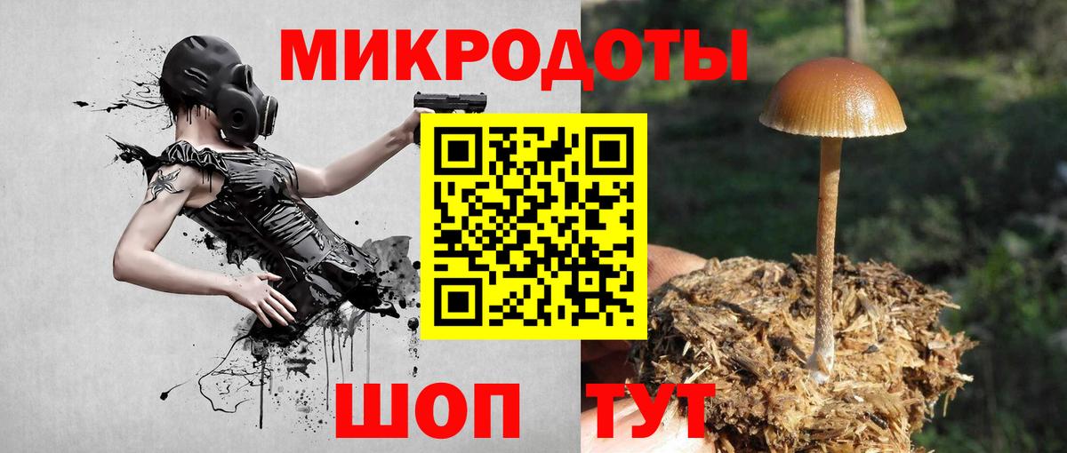 Псилоцибиновые грибы Psilocybine cubensis  Вход с VPN  Набережные Челны 